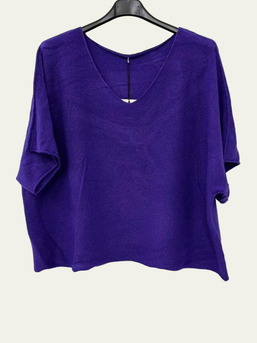 A purple short-sleeve V-neck top hanging on a black hanger against a plain white wall.