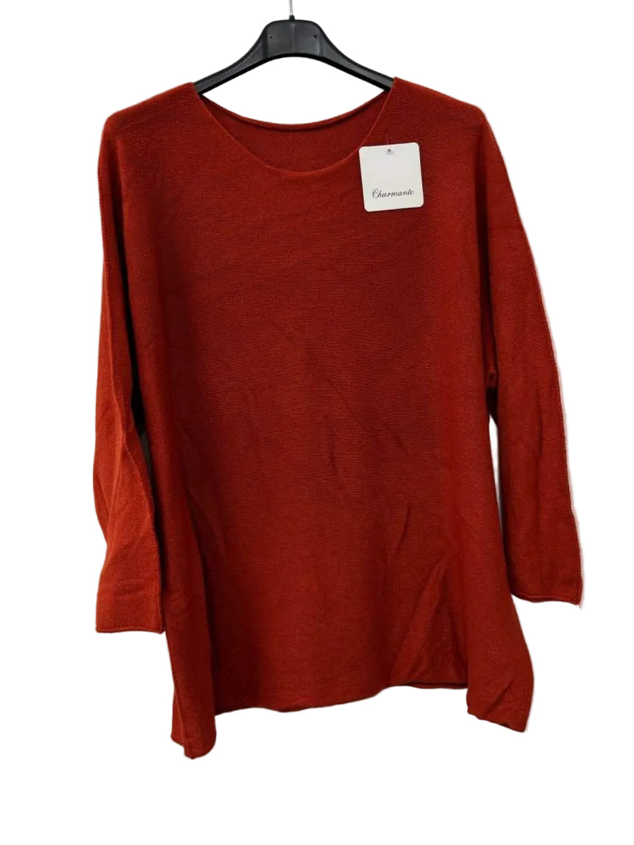A rust-orange long-sleeve knit top hanging on a black hanger against a white wall, with a small white brand tag near the neckline.